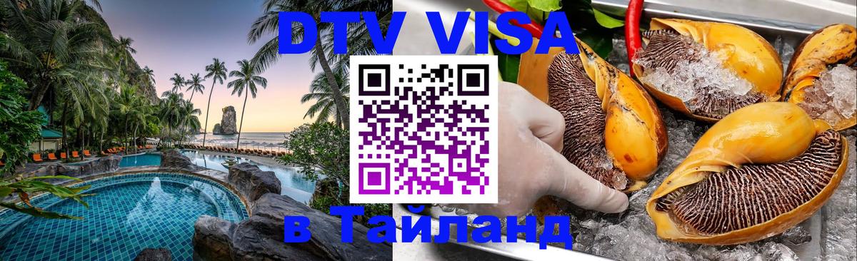 Сколько стоит DTV виза — актуальные цены, оформление даже без документов - Владимир 